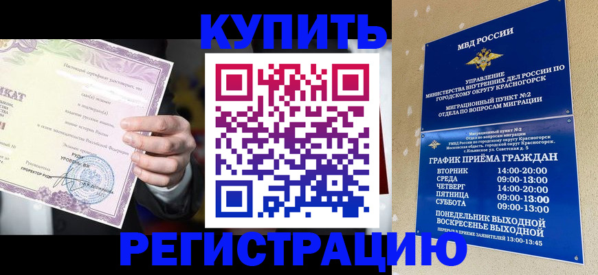 временная регистрация собственник в Выборге